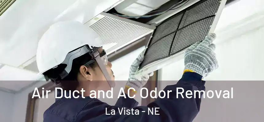 Air Duct and AC Odor Removal La Vista - NE