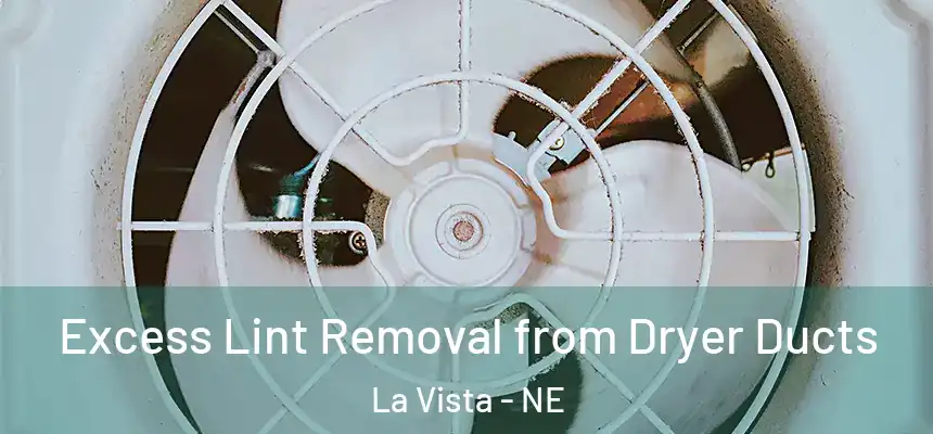  Excess Lint Removal from Dryer Ducts La Vista - NE