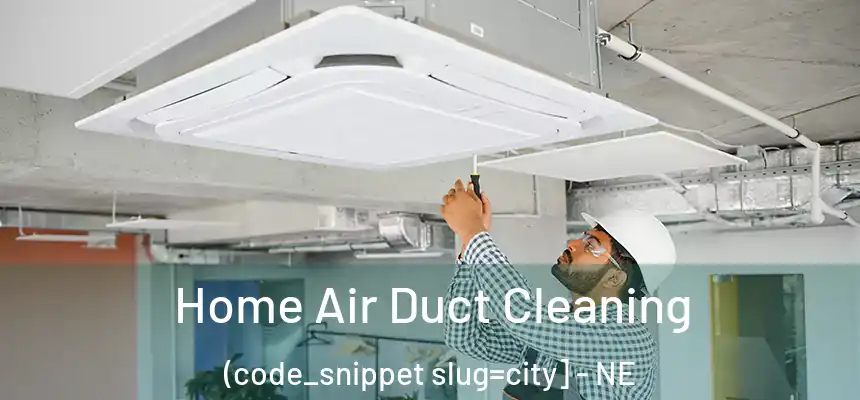  Home Air Duct Cleaning (code_snippet slug=city] - NE