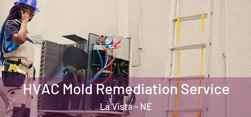 HVAC Mold Remediation Service La Vista - NE