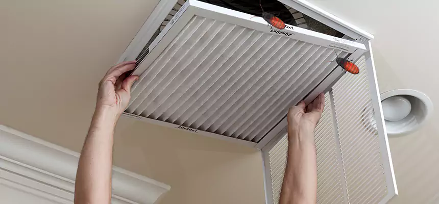 Preventive Cockroach-Proofing for Ducts in La Vista