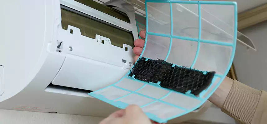 Gentle Ductwork Odor-Control Pet Dander Duct Cleaning in La Vista, NE