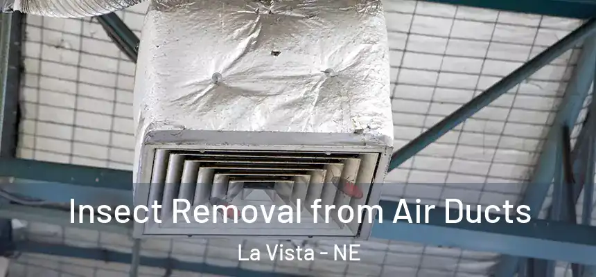  Insect Removal from Air Ducts La Vista - NE