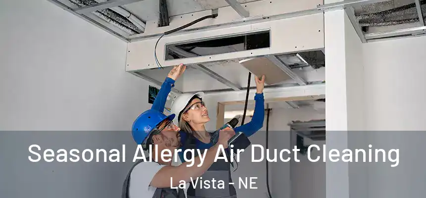  Seasonal Allergy Air Duct Cleaning La Vista - NE