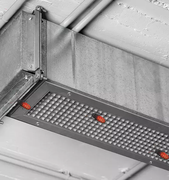 About Air Duct Cockroach Removal in La Vista, NE