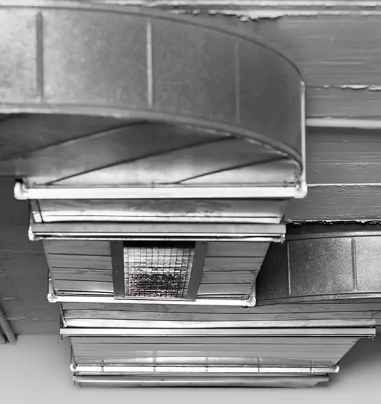 Professional Air Duct Pet Hair Removal in La Vista, NE