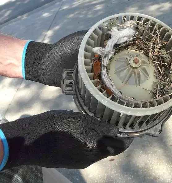 About Air Duct Rat Removal in La Vista, NE