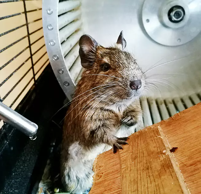 Why Homeowners & Businesses Trust Us La Vista, NE?